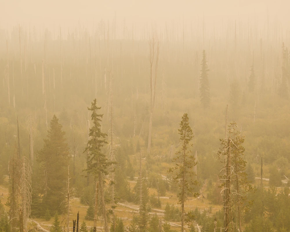 Oregon wildfire smoke photography