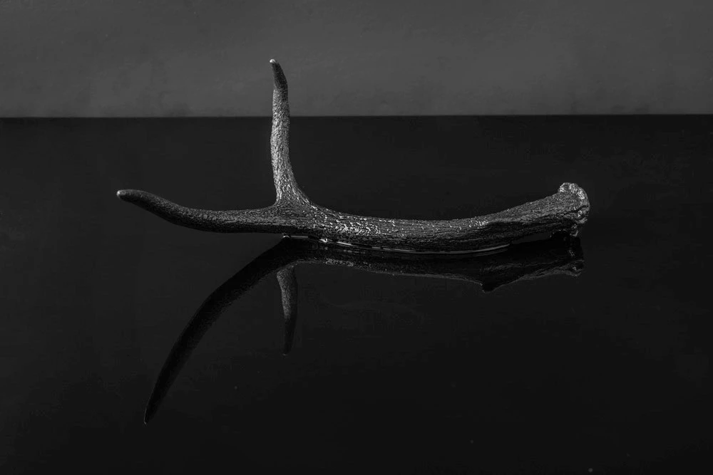 Black Antler